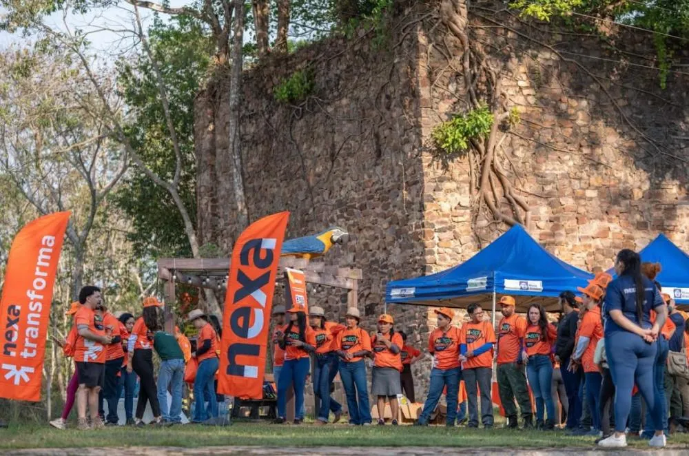 Ação ambiental da Nexa em Aripuanã retira 350 kg de lixo e planta mudas de árvores em nascente